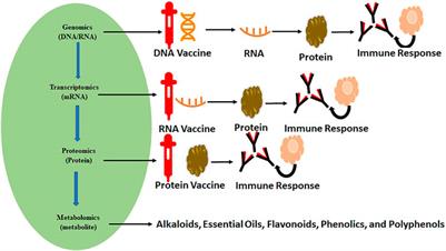 Frontiers Multi Omics Approach In The Identification Of Potential